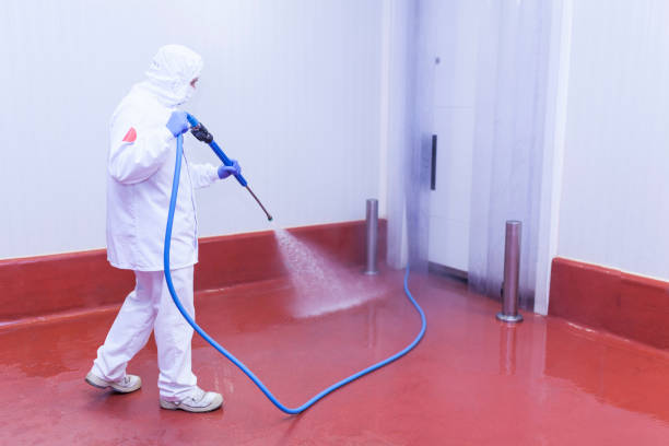 Best Solar Panel Cleaning  in Salton City, CA